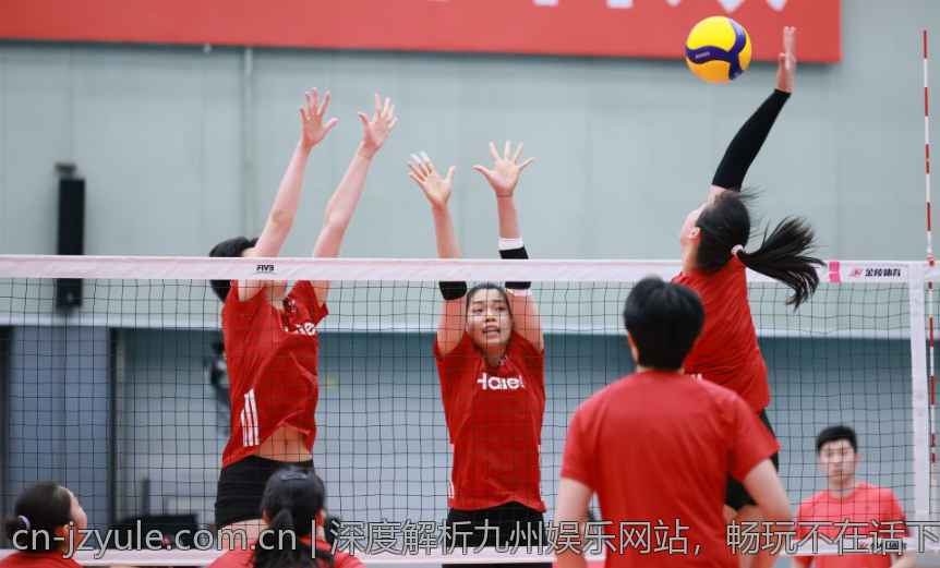 深度解析九州娱乐网站，畅玩不在话下