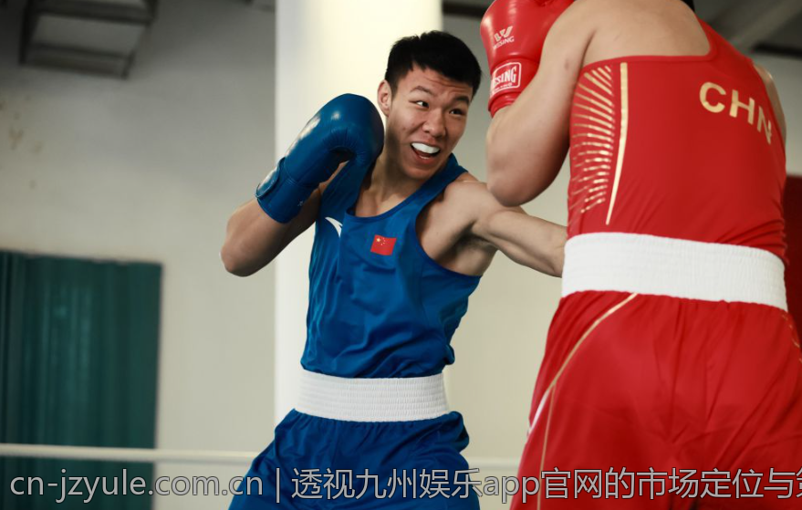 透视九州娱乐app官网的市场定位与策略
